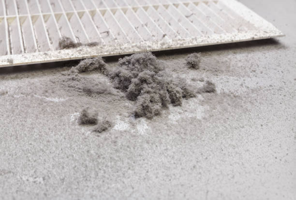 Best Commercial HVAC Duct Cleaning  in Quinebaug, CT