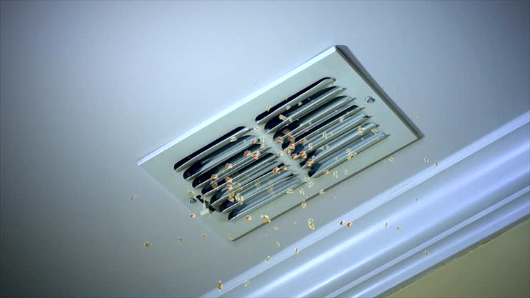 Best Air Duct Sanitizing Services  in Quinebaug, CT