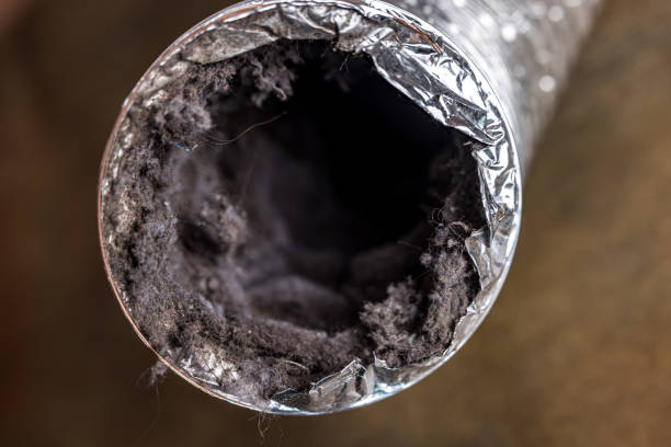 Best Local Air Duct Cleaning Services  in Quinebaug, CT