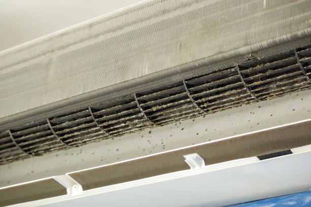 Best Ductwork Cleaning Services  in Quinebaug, CT